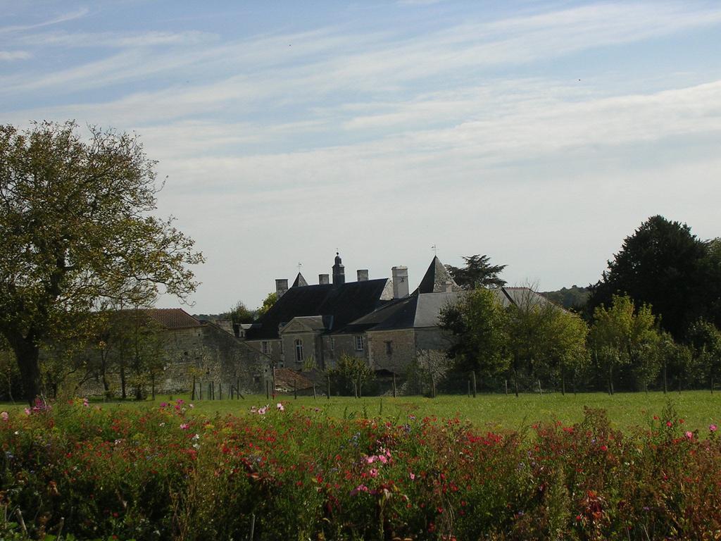 Chateau De La Noblaye Bed & Breakfast Lemere Exterior photo