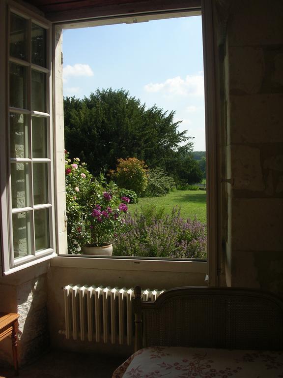 Chateau De La Noblaye Bed & Breakfast Lemere Exterior photo